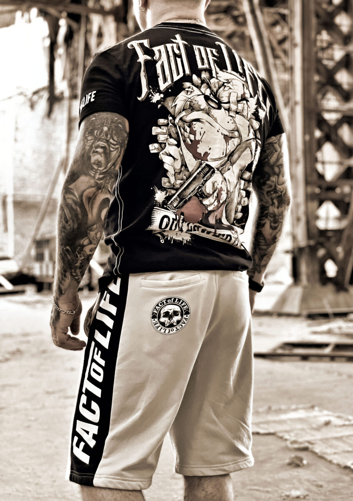 Fact of Life Shorts „Flying Skull“ light grey