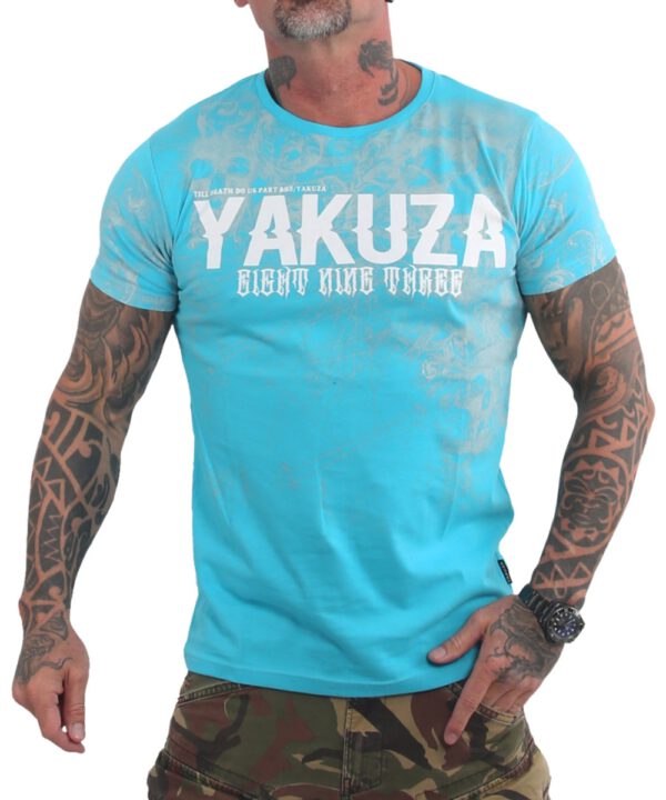 TSB-21041 maui blue